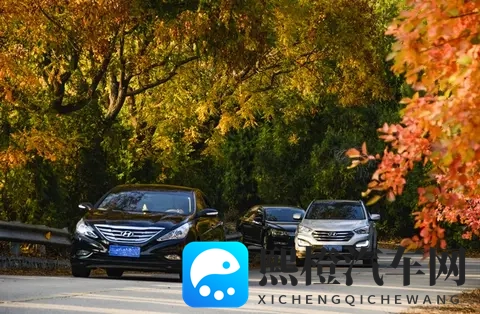 男生女生一起差差差app:校园情侣共同体验差距挑战平台-3