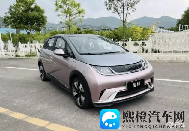 老女人擦她毛老荫户:汽车保养新视角:揭秘老女人独特擦车法-2