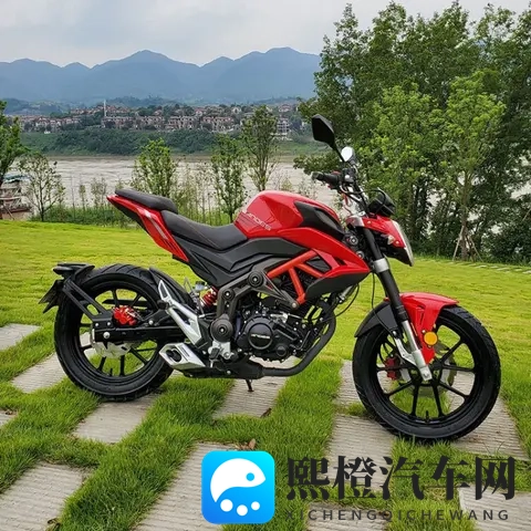 2025摩托车新手入门全攻略 法规解读+车型推荐+装备清单+驾驶技巧-2