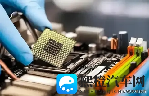 记者质问荷兰首相:你认为荷兰这做法蠢不蠢?他的回应绝了-3