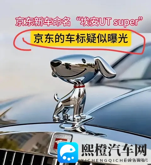 有媒体发了一个京东的车标，是立体的京东小狗，会是这一款吗？-3