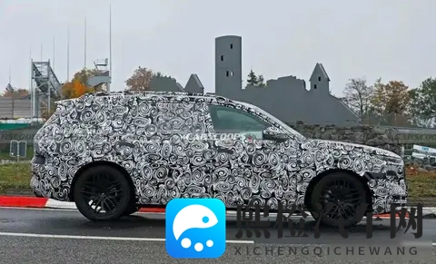 奥迪Q9霍希版蓄势待发，旗舰定位竟暗藏惊喜，明年亮相能否成黑马-1