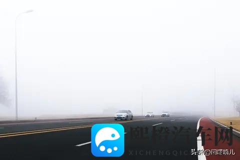 秋冬雾行 老司机都私藏的安全驾驶攻略-2