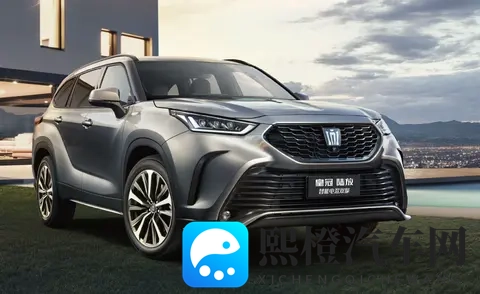 GOGOGO大但拜开艺术风格:激情澎湃大拜开启独特艺术之旅-2