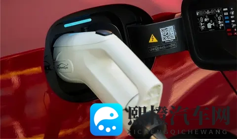 香蕉伸进桃子里：汽车配件跨界融合，创新未来惊喜连连-2