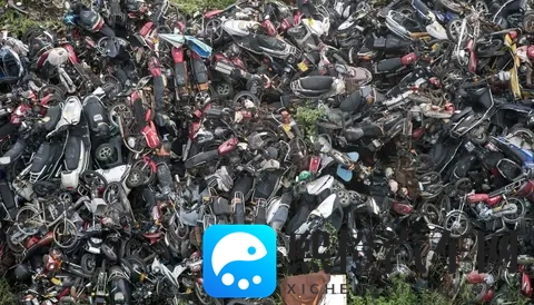 张柏芝被揉到高潮下不来了:张柏芝体验激情场面,情绪失控无法自拔-2