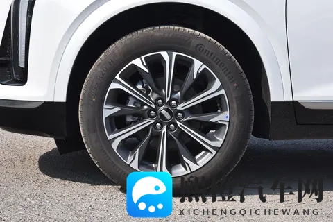 爱情岛论坛vip永久入口：爱情岛VIP专属，永久通道一键直达-2