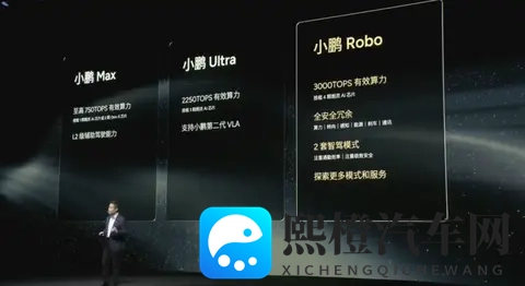 极限捆绑sm中国女模特:中国模特体验极限束缚,SM元素引人注目-2