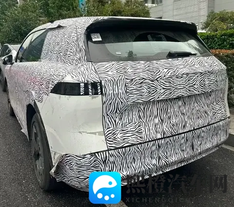 配副驾屏_提供激光雷达_或为中大型SUV 日产N8最新谍照曝光-1