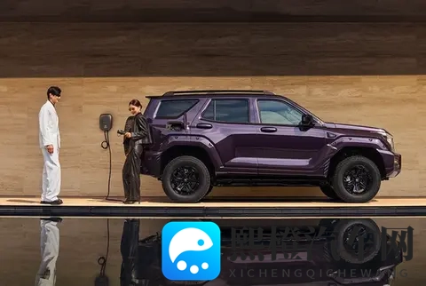 全新坦克400上市 零百加速最低仅43秒 2498万起售-3