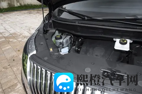 家用MPV怎么选？魏牌高山7凭何受青睐？看完这几点你就明白了-2