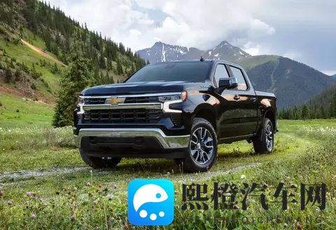 美国人对皮卡的痴迷,藏在这四个字里-3