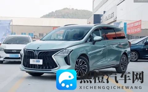 1549万起_15T插混动力 东风风行游艇PHEV上市-3