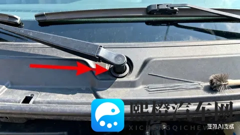 雨天别让爱车“漏水”！5分钟搞定排水孔清理，居家就能操作-3