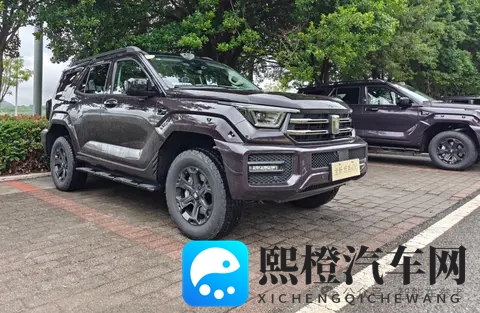 25万起,坦克400智能家用拉满,辅助驾驶雨天重庆也好用-3