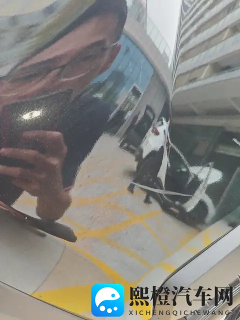 结合油电混合更香！20款丰田RAV4荣放，一手车况！-3