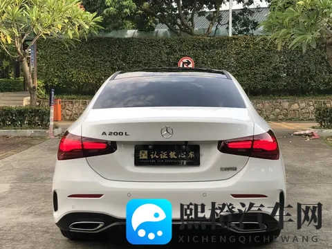 小p孩和大人作爱:科技传承匠心,未来出行新篇章-3