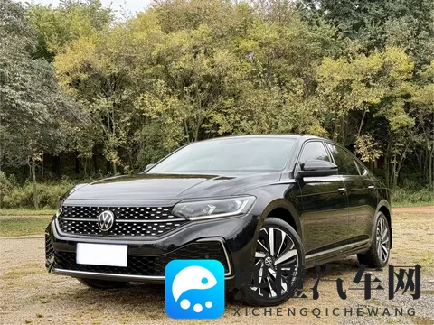 一手准新帕萨特，330TSI星空精英版，宜商宜家之选-3