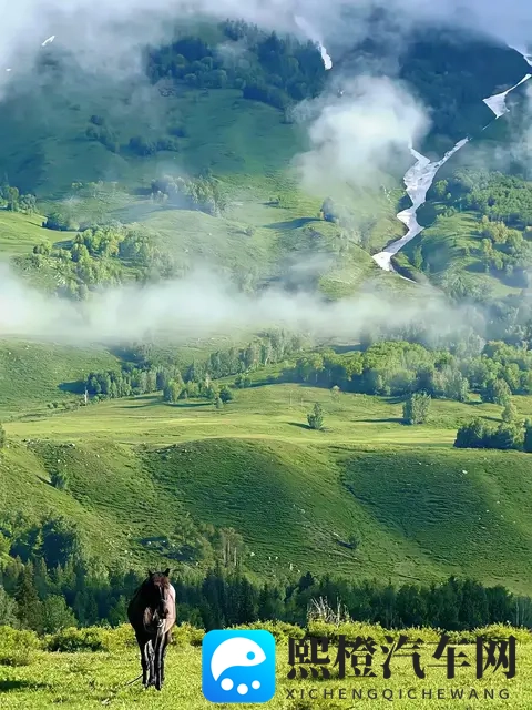 51国产黑料吃瓜张津瑜蘑菇:国产汽车新突破,张津瑜蘑菇成焦点之谜-2