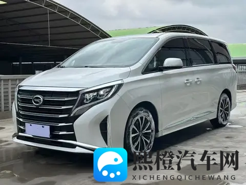 准新一手传祺M8:23款390T豪华版,142万宜商宜家!-3