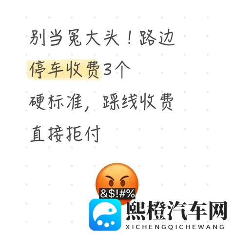 路边停车别当冤大头！3个硬标准+拒付攻略，违规收费直接怼-1