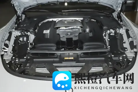 新车  售19248万元_配置调整，新款梅赛德斯-AMG GT 63 4MATIC+上市-3