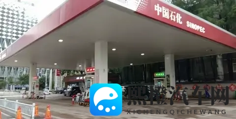 加油避坑终极指南:三桶油无差别,小加油站这样选才省钱护车!-3