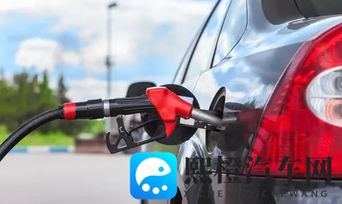 8 8 永久华人入口：汽车资讯新平台，华人车主驾驶乐趣升级-2