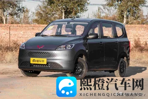 五菱微面要变天,工具车玩出三套动力,谁在悄悄改写乡村出行?-2