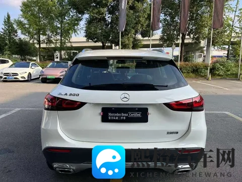 老卫淑蓉厨房激情:老厨师卫淑蓉在灶台展厨艺-3