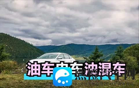 油价即将上涨,当下该选啥车?-1