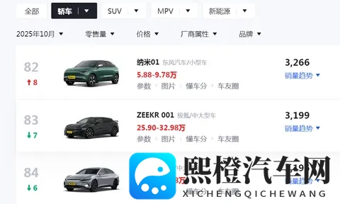 10月销量3266台，东风纳米 01起售价 598万仍难破局-3