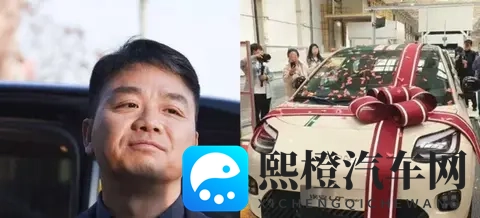 刘强东突然杀入!499万“国民神车”开卖,雷军、比亚迪有压力-3