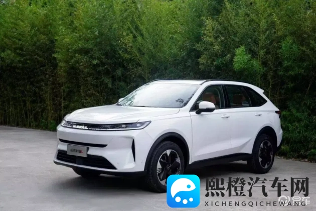 被部长蹂躏的漂亮人妻：汽车品牌发展：磨难中的魅力与创新-1