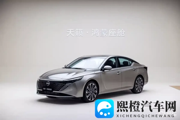 推特成人：社交平台，成人世界新天地-1