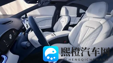 Nappa真皮普及背后:车企宣传的“文字游戏”该停了-2