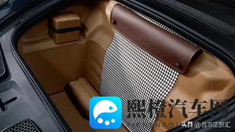 保时捷推出全新Sonderwunsch定制版911 GT3 “豹猫”-3