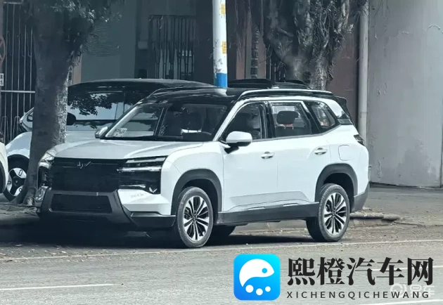 黄色软件2025：2025年，揭秘网络色情软件内幕-2