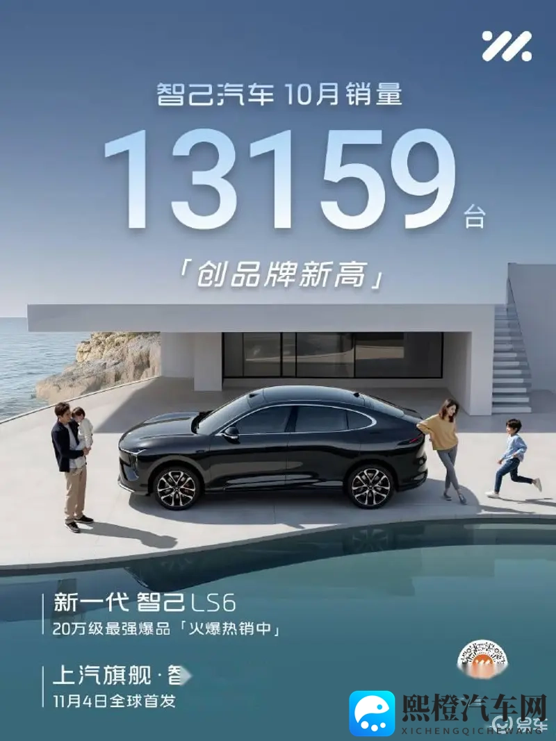 国产第一网站：引领国内，网站翘楚-1