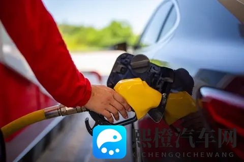 惊呆了!县道旁的私人加油站竟比大牌还划算?真相让人摸不着头脑-3