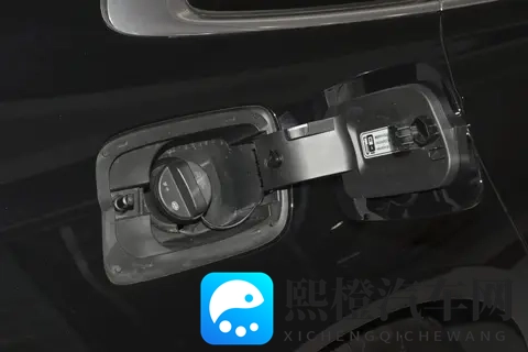 2025 款红旗 H9 选购思路:从外观到场景的适配分析-1