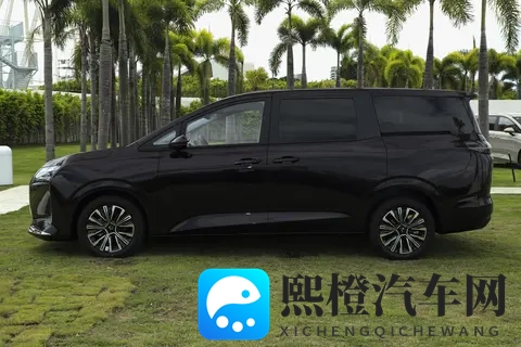 家用MPV怎么选?五菱星光730:空间大,动力足,配置全-3