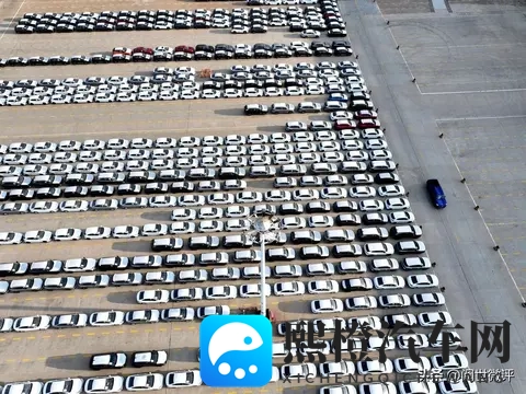 年轻人疯抢“破产车”！7万块提走14万哪吒，是捡漏还是踩坑？-3