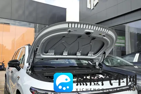 20万以内，中大型纯电SUV，零跑C16纯电版是否值得买？-3