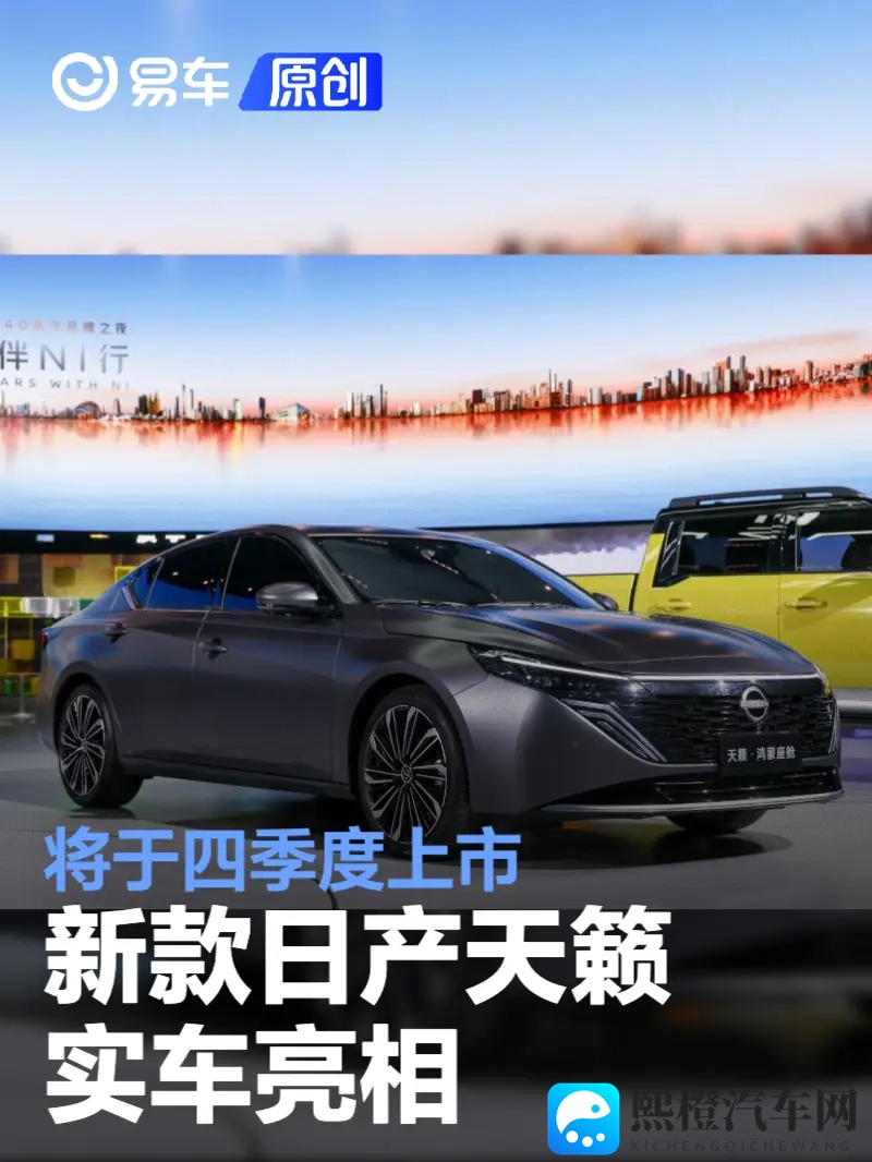 无套网站：新型平台助力信息透明化，揭秘互联网新趋势-2