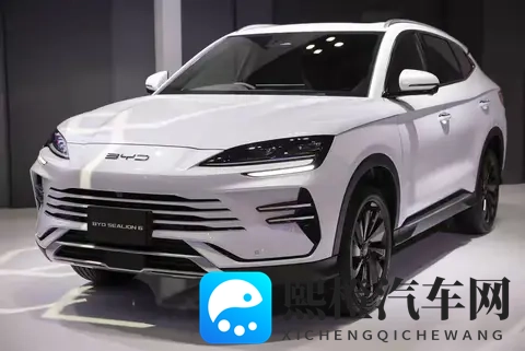 在日本,什么人在买电动车?探秘岛国EV消费的独特生态-2