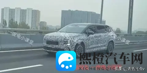 四川女人毛多水多:汽车市场新风向:揭秘女性消费者购车新喜好-1