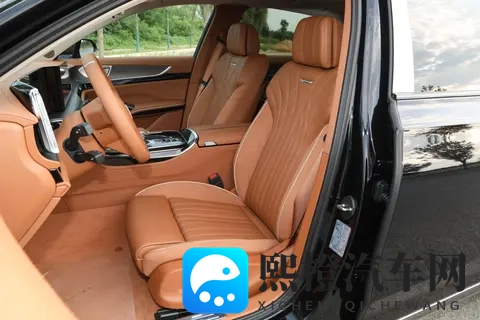 选国产 C + 级豪华轿车？红旗 H9 这 7 款车，先看你是家用还是商务-3