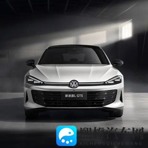 黑人 迪克 娇小 紧 实:微型车王:时尚与性能的完美融合-2