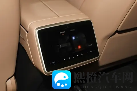 零跑开始有个性了-1